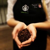 Sbux The Shard (@sbuxtheshard) 's Twitter Profile