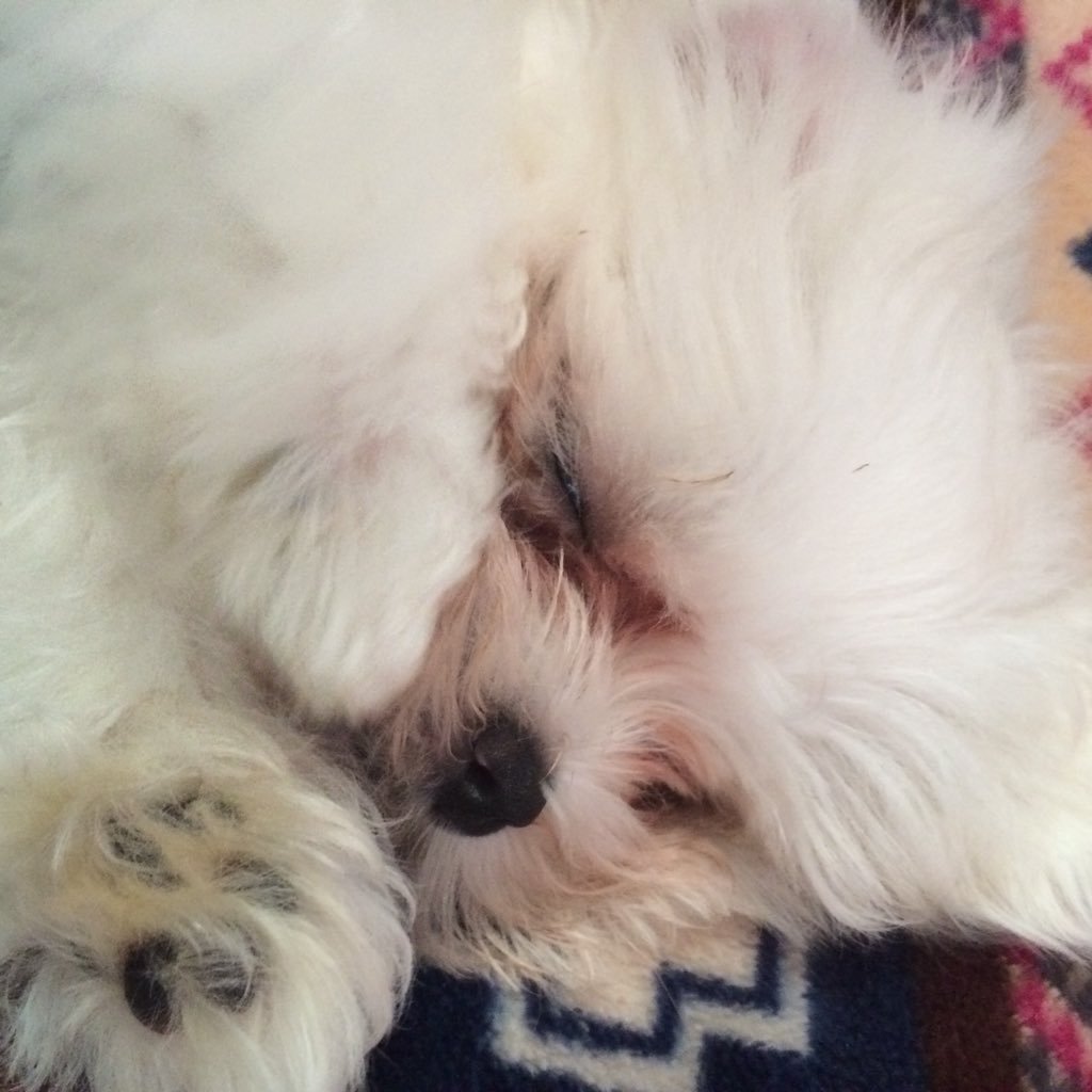 Lyne_Valefor's profile picture. ちょっとゲームしてる(´⊙ω⊙`)