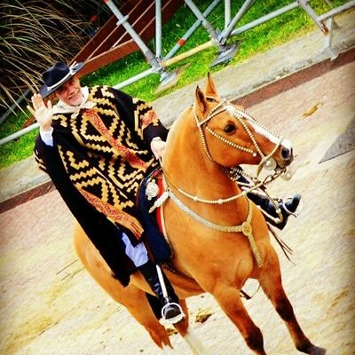 Educador, salesiano y sacerdote. Criollista. Gaucho. De CASLA. En la comunidad del Instituto Agrotécnico Salesiano Pascual Gentilini, San José, Misiones (ARG).