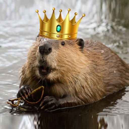 DirtyBeaverKing's profile picture. Deep Thoughts and Inspirational Quotes!! 😅 ............. Also, some Profound Statements! 🤔