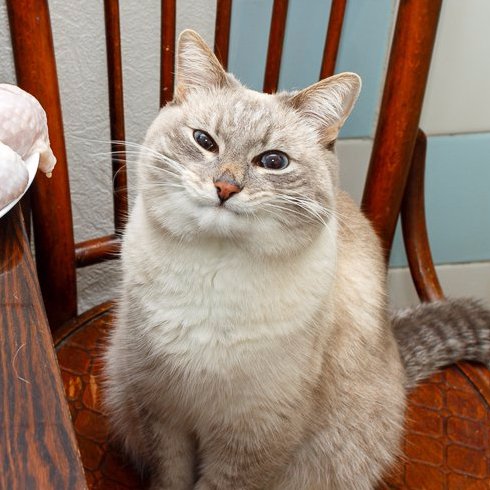 KelseyTaylorbot's profile picture. 