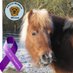 Bramble and Bambi (@ponyfriends1) Twitter profile photo Bramble and Bambi (@ponyfriends1) Twitter profile photo