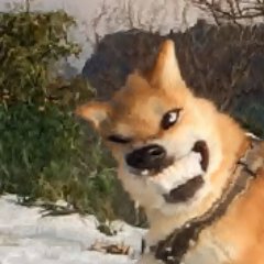 MapleshadeSpirt's profile picture. 