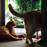 ちお🐾 (@chio_ry) Twitter profile photo