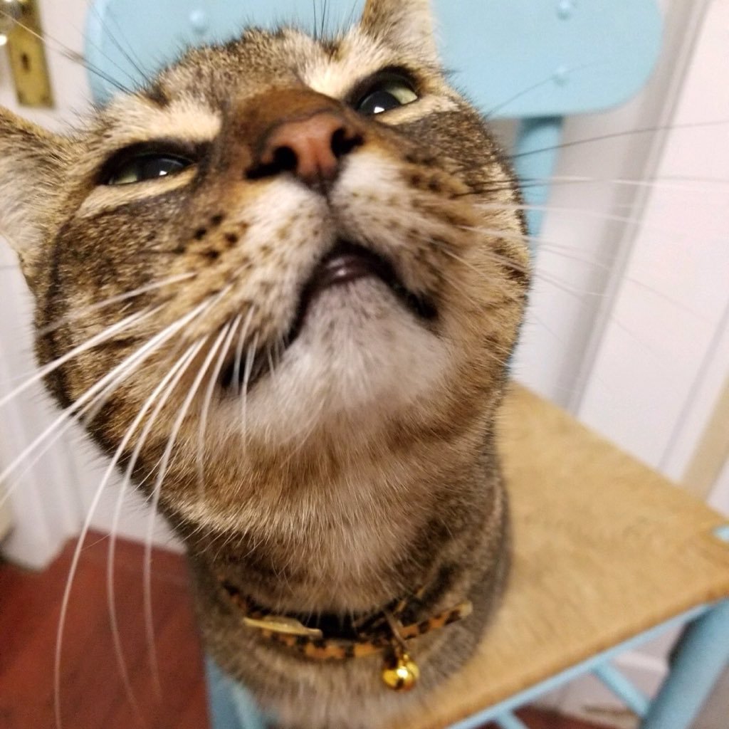 carson_zimmer's profile picture. 