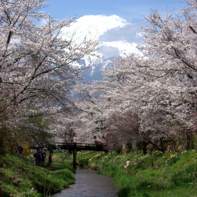 岡田紅陽写真美術館・小池邦夫絵手紙美術館 (@okadakoikeart_m) / X 岡田紅陽写真美術館・小池邦夫絵手紙美術館 (@okadakoikeart_m) / X