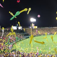 和虎@🐯今季TV観戦組 (@toratorakaz) 's Twitter Profile