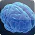 Ultimate Brain Training, based in Johannesburg South Africa, can assist you with understanding your learning problems and overcoming them.