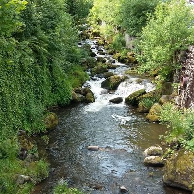 MarcelStraten's profile picture. Sport