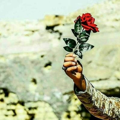🇮🇶🇮🇶🇮🇶🌹🌹🌹مجاهد من اجل العراق 🌹🌹🌹🇮🇶🇮🇶🇮🇶🇮🇶🇮🇶🇮🇶