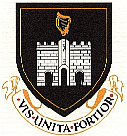 Tralee Town Council