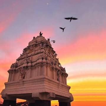 Public Eye Bangalore Profile
