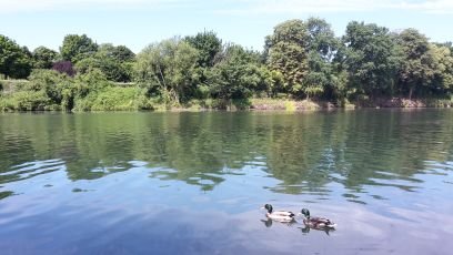 Lili8571's profile picture. 