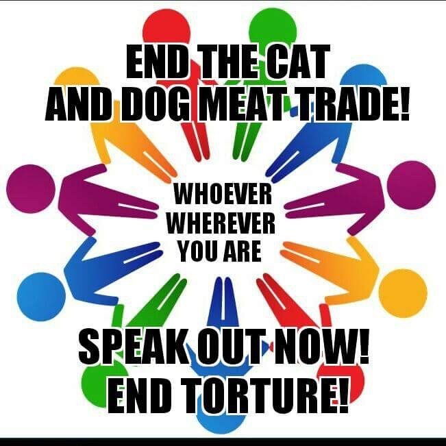 End animal cruelty. Stop the barbaric Dog and Cat Trade.