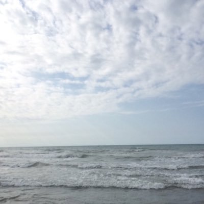 Shayan_b_a's profile picture. 