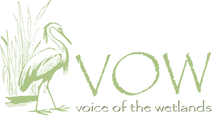 VOW's mission is to preserve Louisiana's wetlands and coast within all sectors - environment, community, economy - for current and future generations.