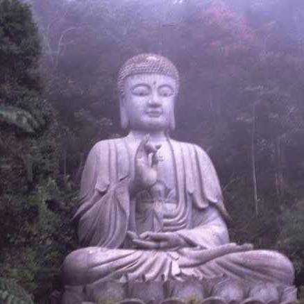 ZENsationRD's profile picture. Revitalize your Mind, Body & Soul with our products and services.