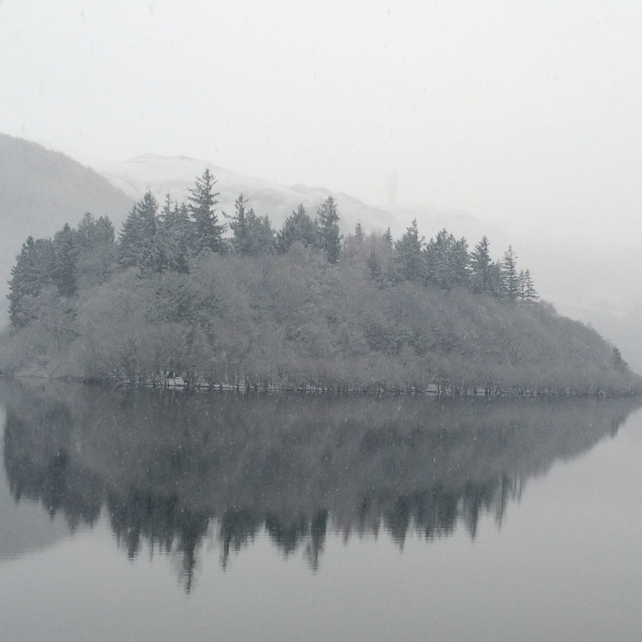 BethZoe14's profile picture. 