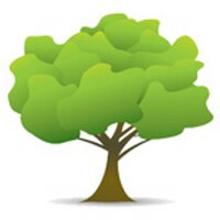 iNew Forest (@inewforest) 's Twitter Profile