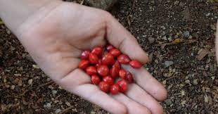 jithesh94954494's profile picture. Prathyekich onnum illa