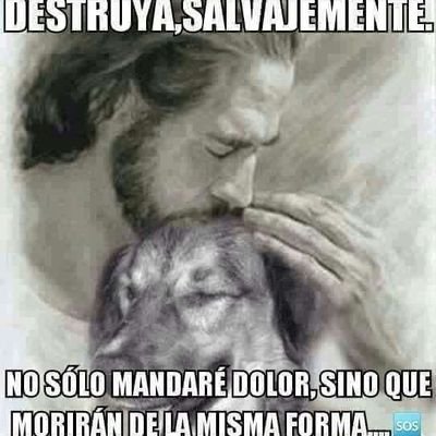 Soy rescatista por amor a los animales🐾🐕🐈🐾,ayudo a personas de la 3a.👵👴a nuestros👫k viven en la calle,cuido las🍀🌿todo con el favor de DIOS.