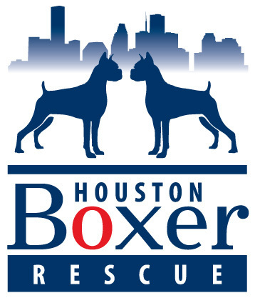 Houston Boxer Rescue was born out of a deep love for the boxer breed and a desire to help end the suffering of boxers due to neglect, abuse, or abandonment.