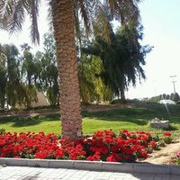 تبغا الصدق (@kkfdzh) 's Twitter Profile