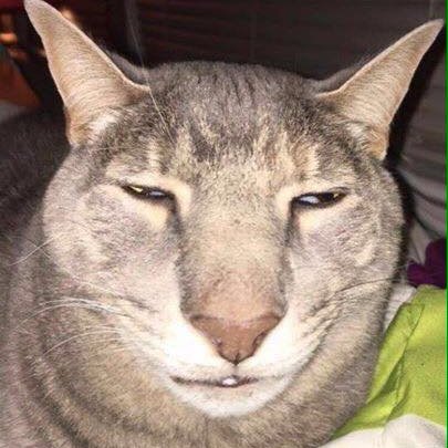 KONGSTRONK's profile picture. 