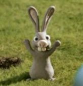 robbertzijp's profile picture. 