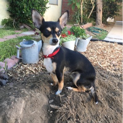 Todrhythm19655's profile picture. 