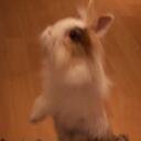 Frieda Schmitt - @Friedarog - Twitter