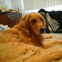 jdnum1 (@jdnum55) 's Twitter Profile