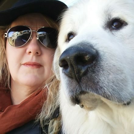 music enthusiast, photographer, great pyrenees lover.