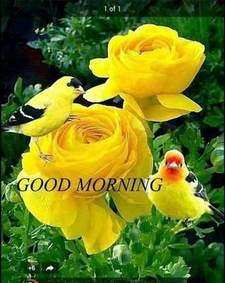 Ashwani10610645's profile picture. 