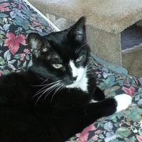 SayYesToTruth (@sayyestotruth) 's Twitter Profile