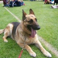 Kathleen Murphy (@kathleenmary2) 's Twitter Profile Photo Kathleen Murphy (@kathleenmary2) 's Twitter Profile Photo