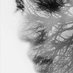 Sophie (@libre1983) Twitter profile photo Sophie (@libre1983) Twitter profile photo
