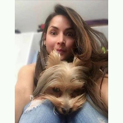 annesauset's profile picture. 