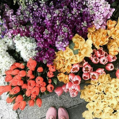 RsbSpcpEOgq9LJg's profile picture. 