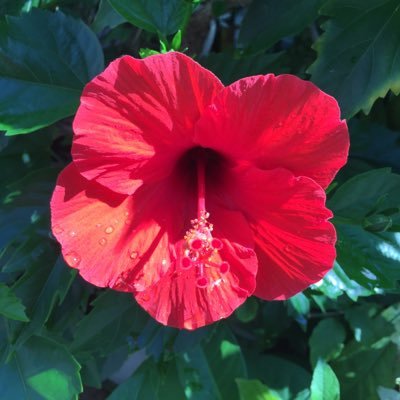 ura_3bb's profile picture. 成人 腐 閲覧用垢です