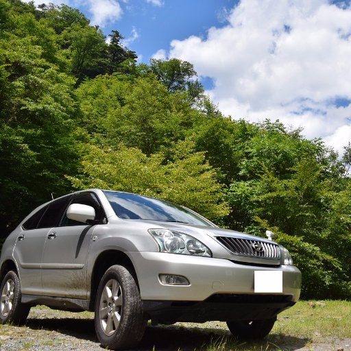 SUV海苔のバイク海苔鯛オッサンです。SUV・オフロードバイク・SS乗りのみなさん宜しくです。無言フォロー失礼します。たまに🚄とかの話とかも NIKON D5300