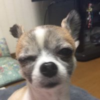 高次脳機能障害 母としてできる事‥ (@happyness24355) 's Twitter Profile