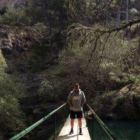 Pichacar (@quintero_salvi) 's Twitter Profile