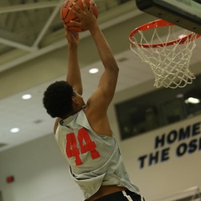 Swiish_Alert's profile picture. Gopher😎