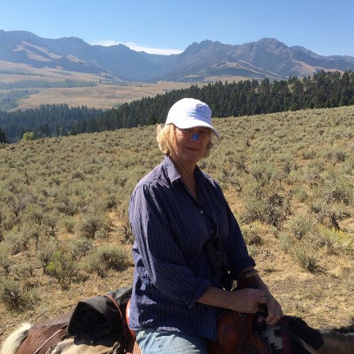 PhilippaDunne's profile picture. Co-editor at TLRAnalytics, Outreach at Hudsonia. Tracking labor trends & understanding novel ecosystems. https://t.co/qN3PTw8Iaf