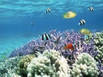 auxignuck689's profile picture. Научись никогда никоу ничего не рассказвать и научись икогда ни от кого ничего не ждать.