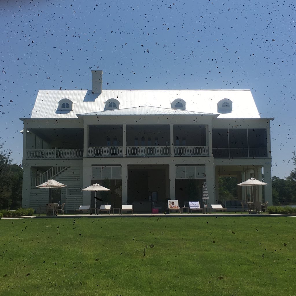 EustisC's profile picture. 