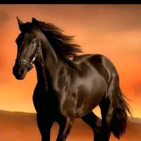 مجموعة انسان (@elgant4ever) 's Twitter Profile