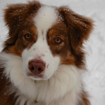 Skippe2's profile picture. 