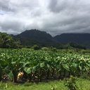 Kiersten Walker - @KierstenWalke11 - Twitter